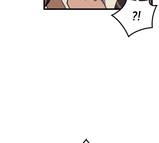 229.jpg