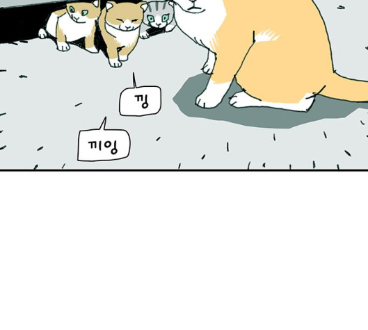 108.jpg