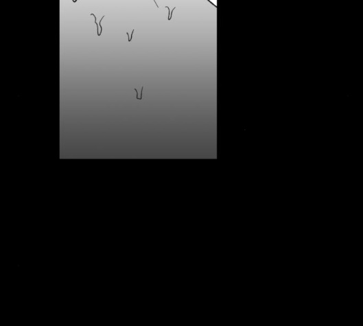 157.jpg