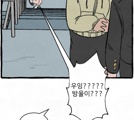 102.jpg