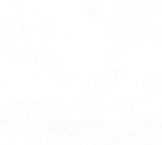 119.jpg