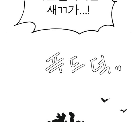104.jpg