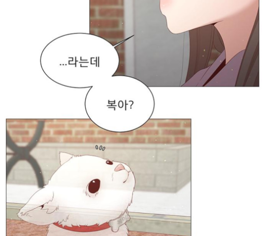 104.jpg