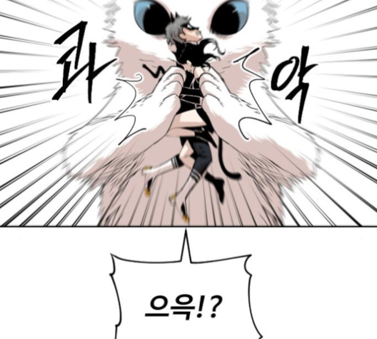 104.jpg
