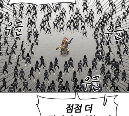 115.jpg