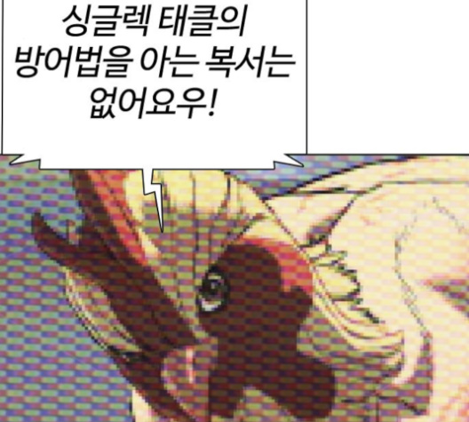 217.jpg