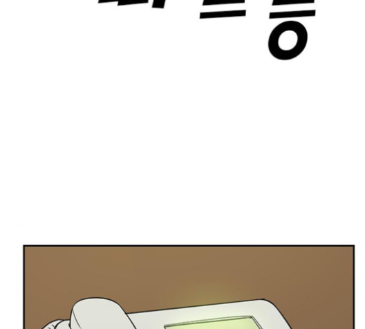 146.jpg
