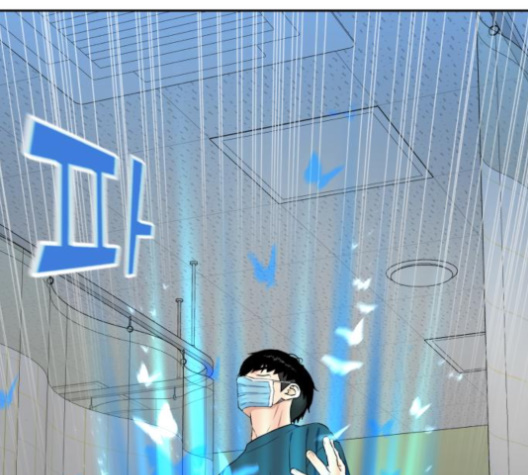 081.jpg