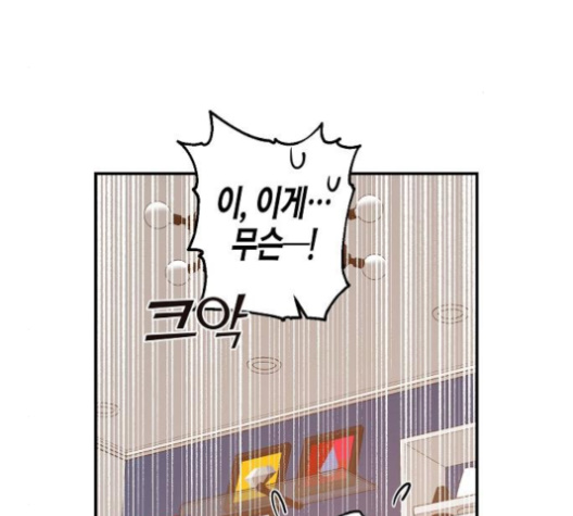 103.jpg