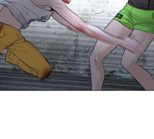 196.jpg