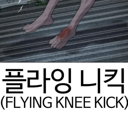 211.jpg