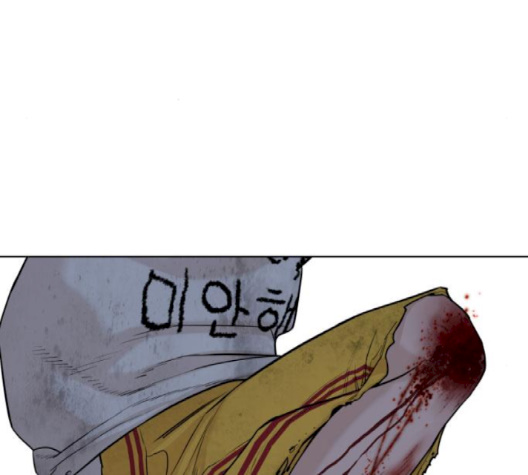 244.jpg