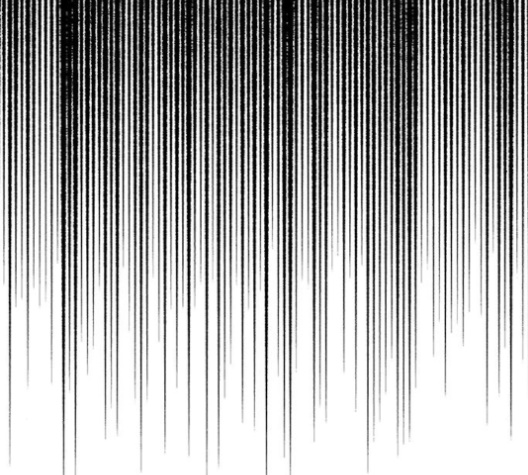 062.jpg