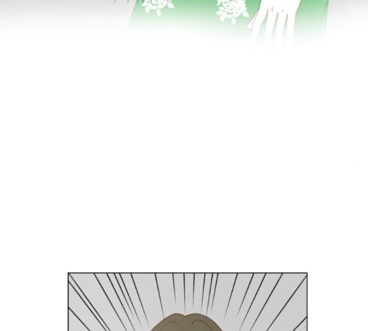 135.jpg