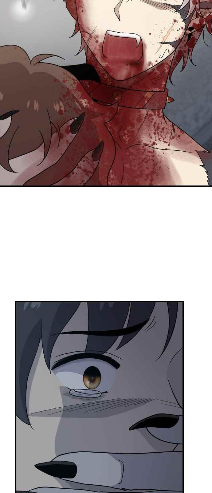 15651834548656.jpeg