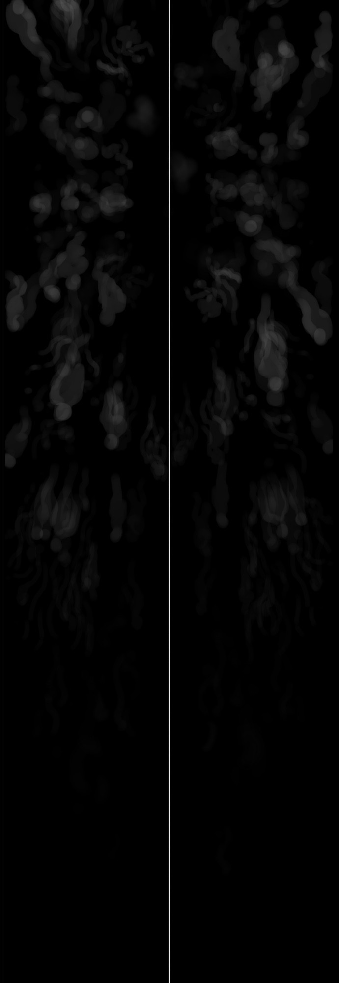 15651870861555.jpg