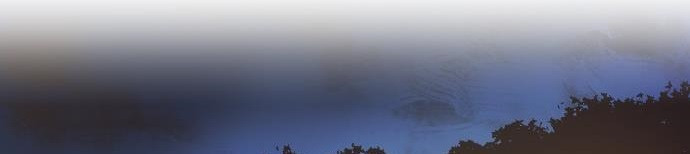 15651902664482.jpg