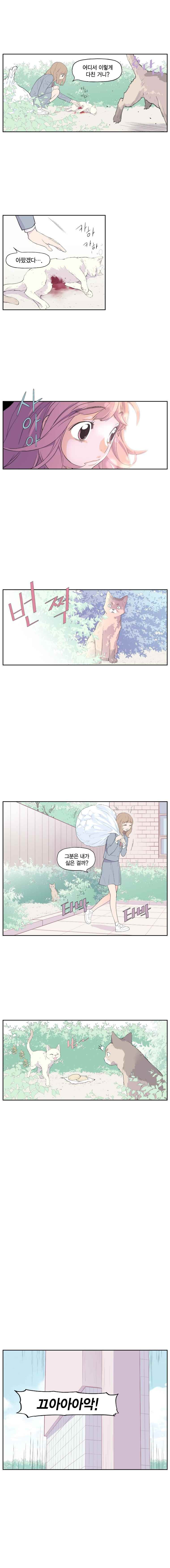 15652019752721.jpeg