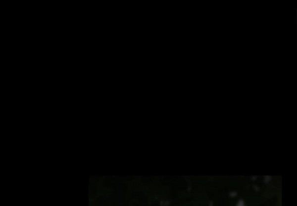15652085753988.jpg