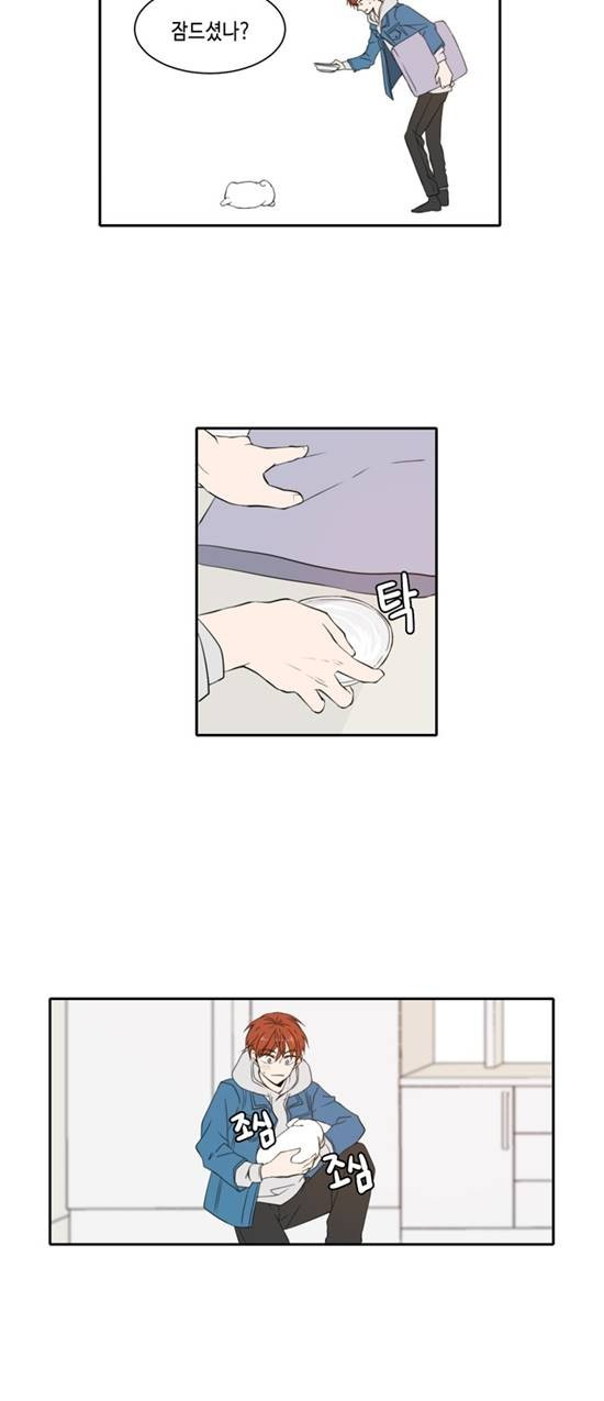 15652248852544.jpg