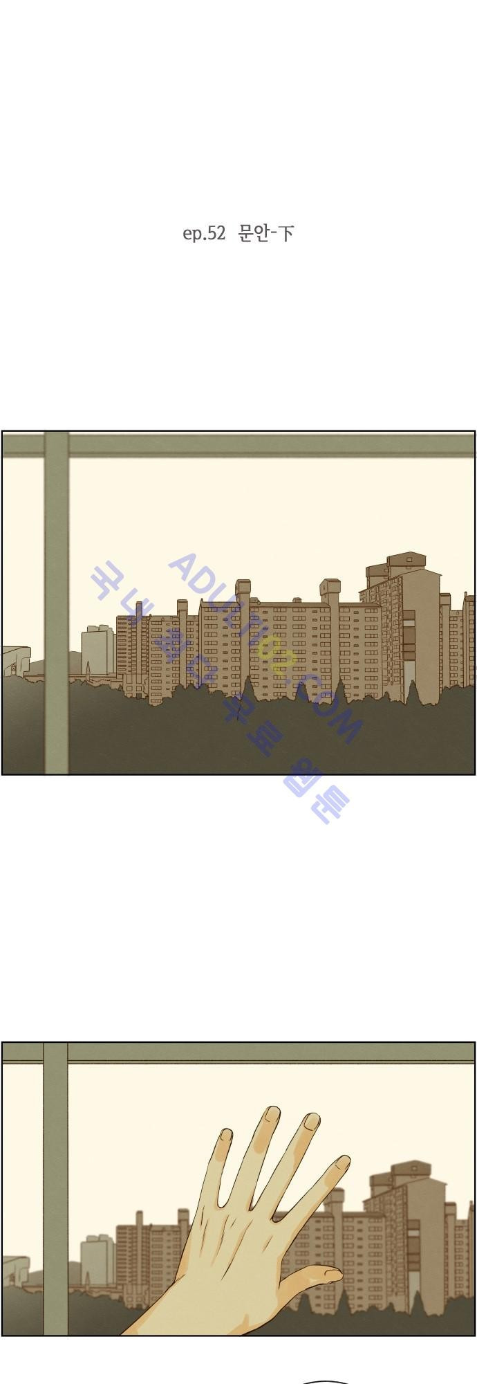 15652248917427.jpg