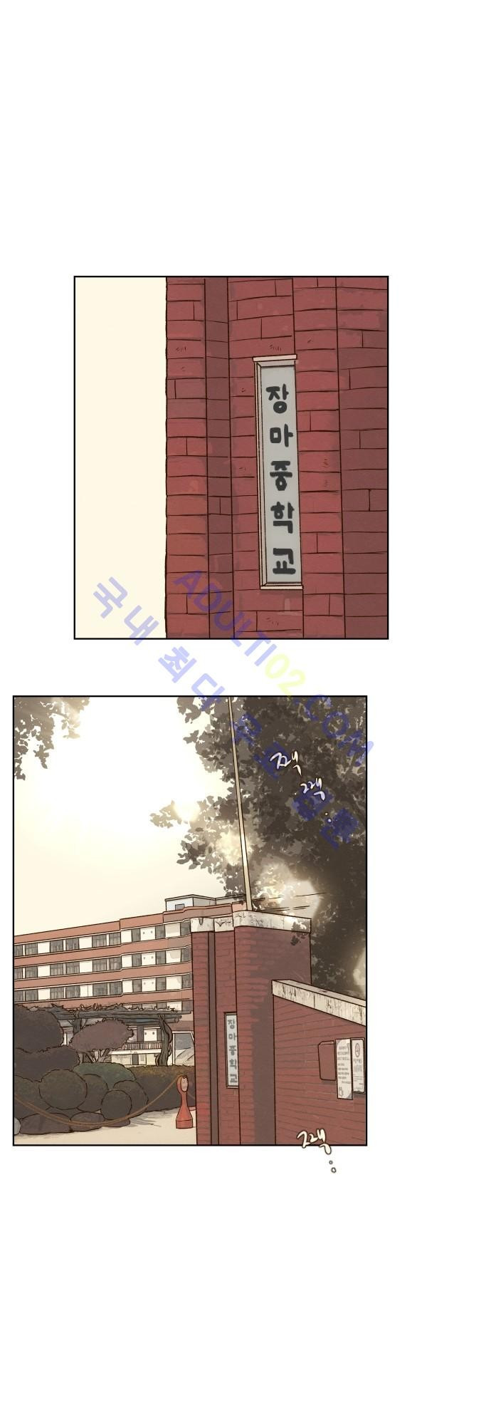 15652252010137.jpg