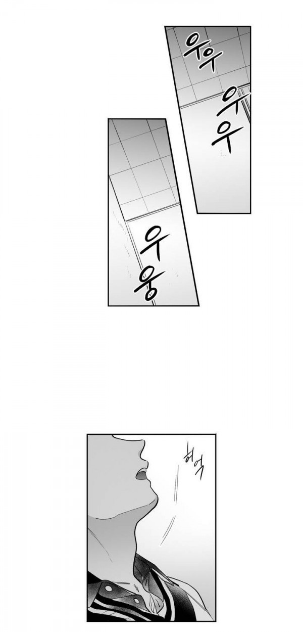 15652353562516.jpg