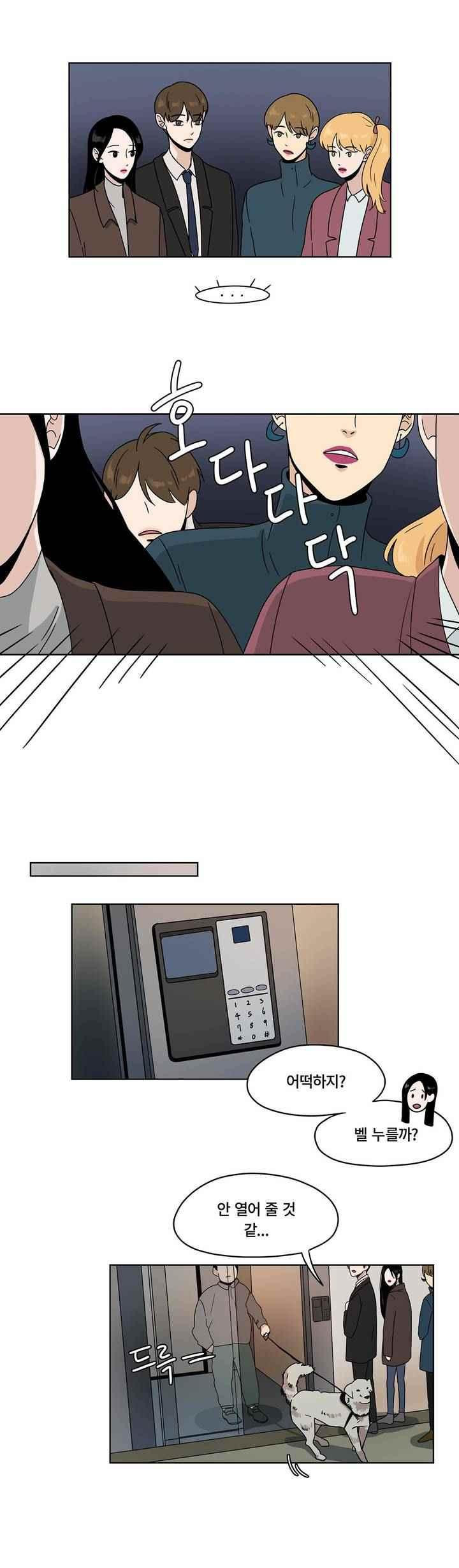 15652427650008.jpeg