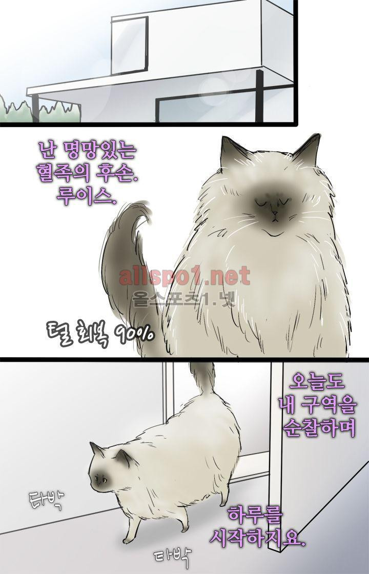 15652481382582.jpg