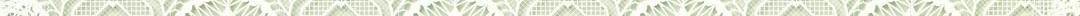 15652591990488.jpg