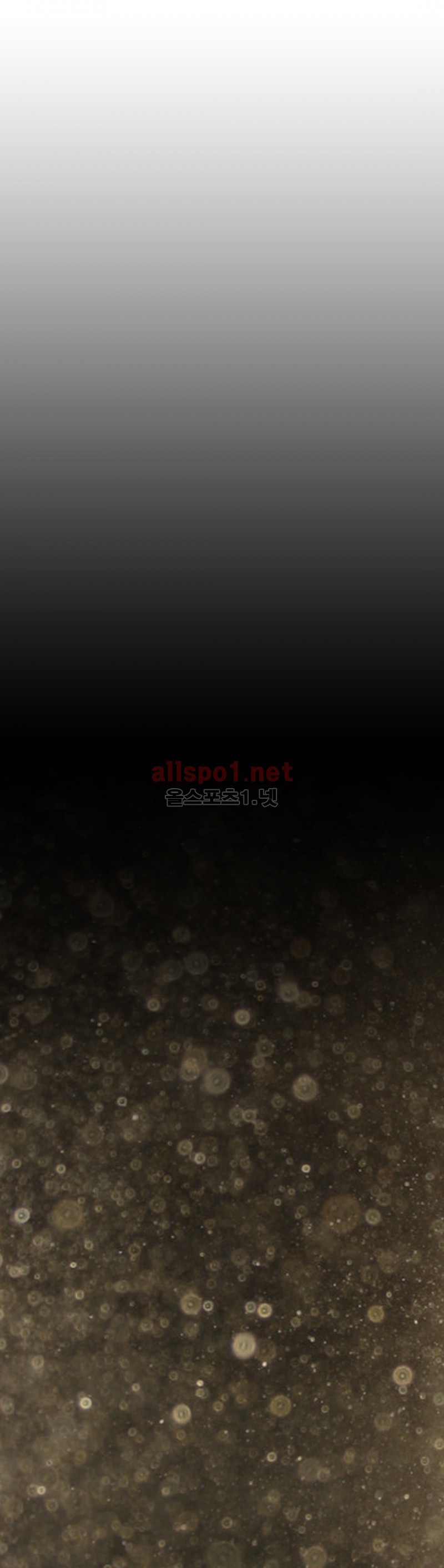 1565296288432.jpg