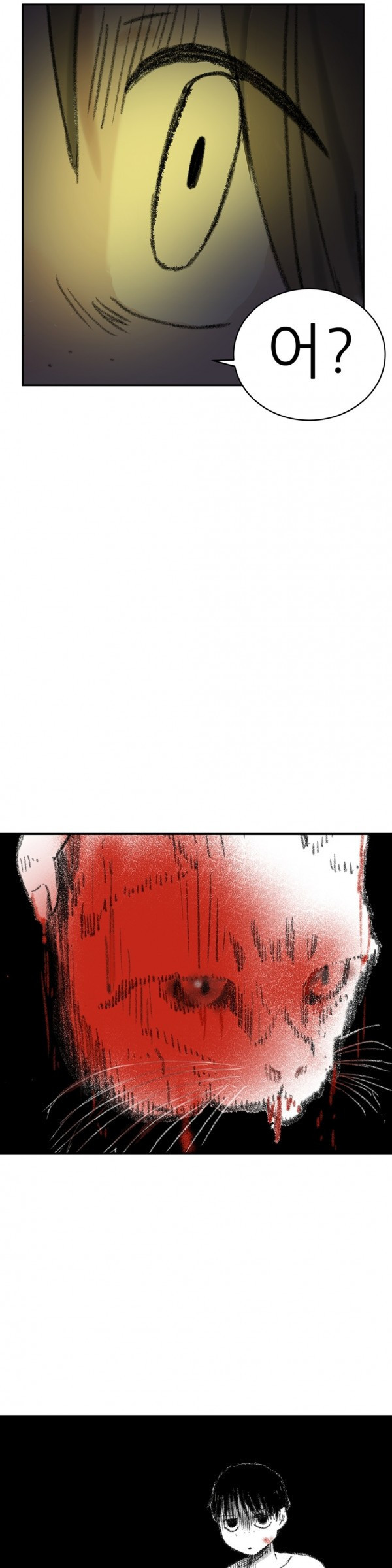 15652991564921.jpg