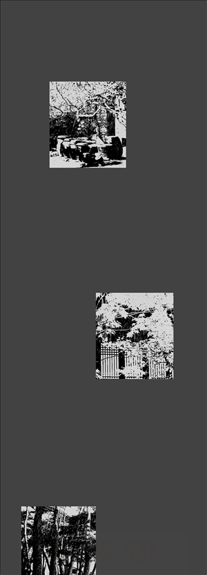 15652999559397.jpg