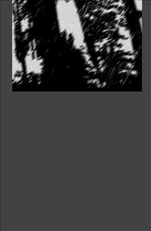 15653002242677.jpg