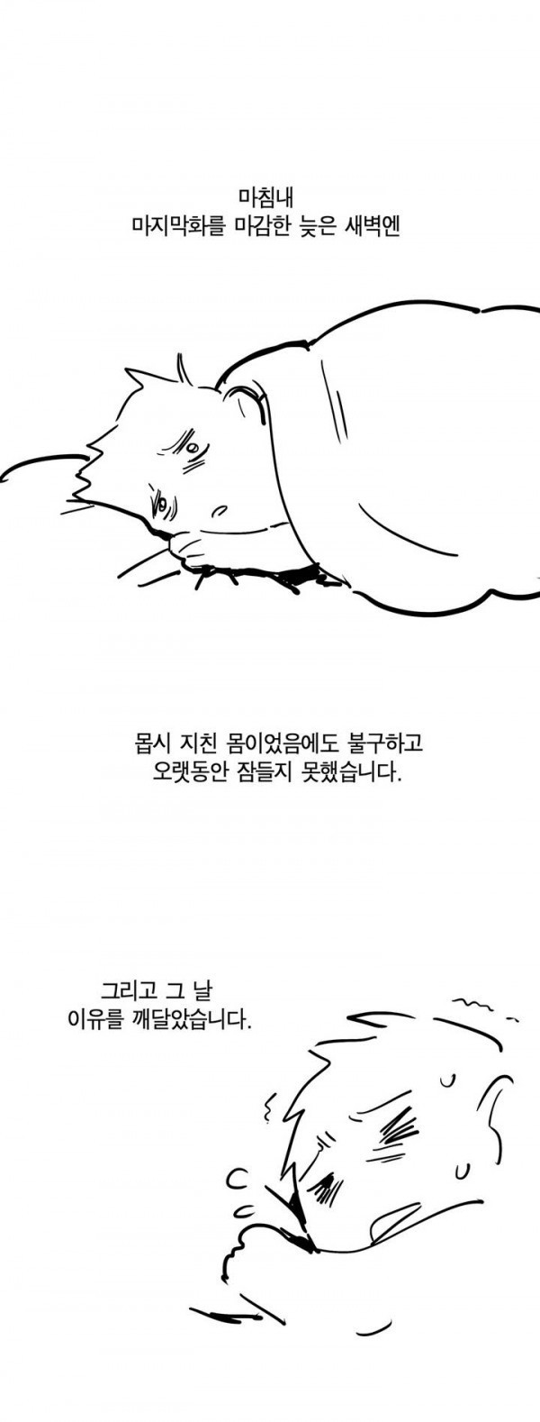 15653012364346.jpg
