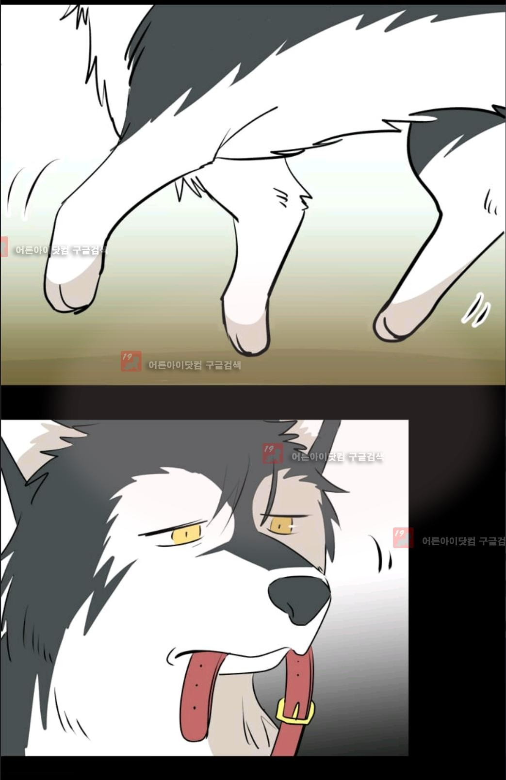 15653015743022.jpg