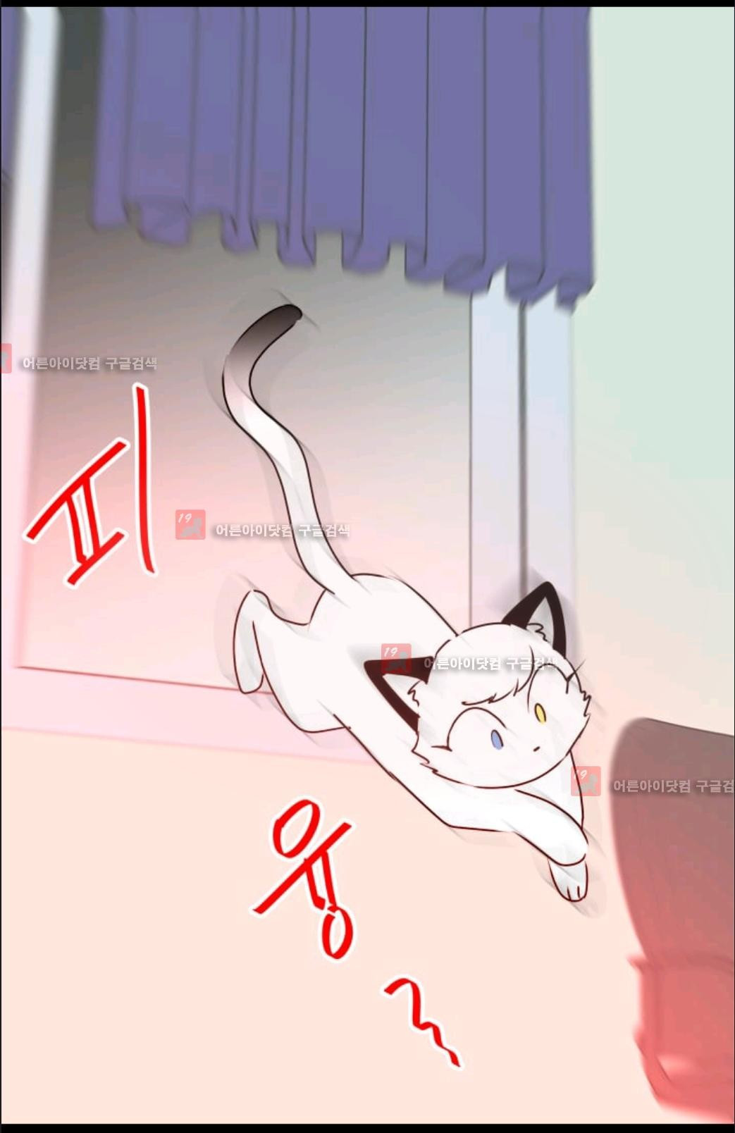 15653016569696.jpg