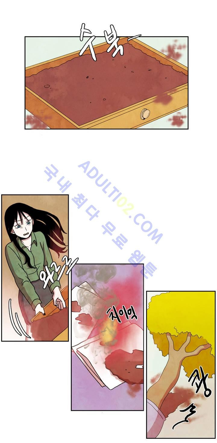 1565304299639.jpg