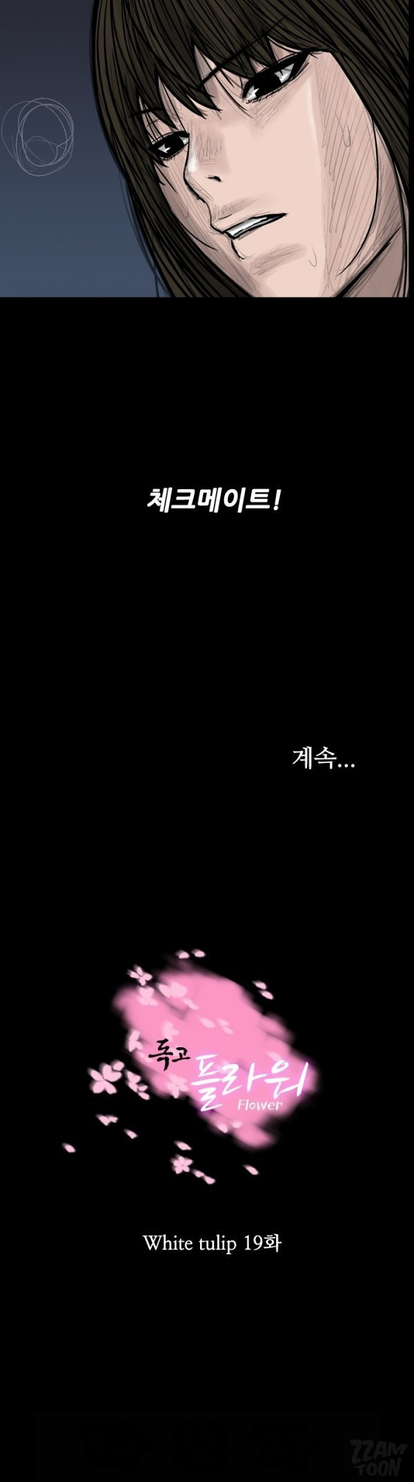 1565304925001.jpg
