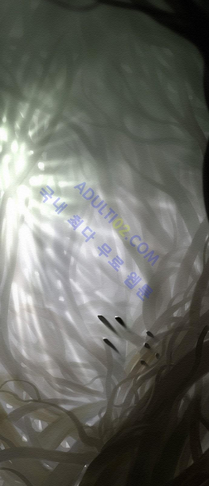 15653106580037.jpg