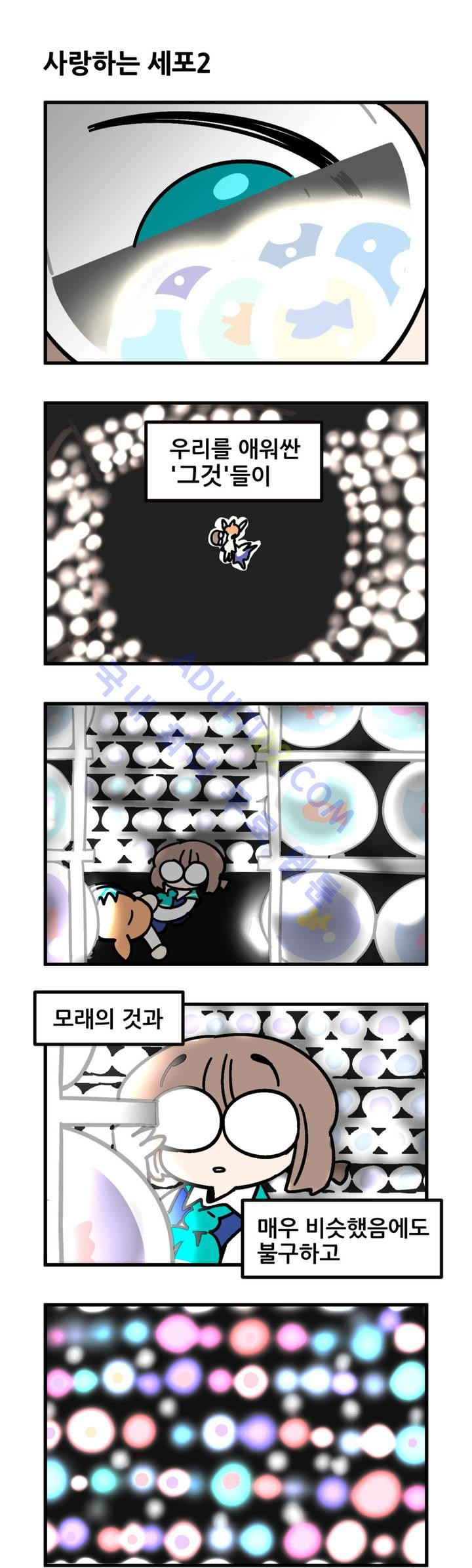 15653111143874.jpg