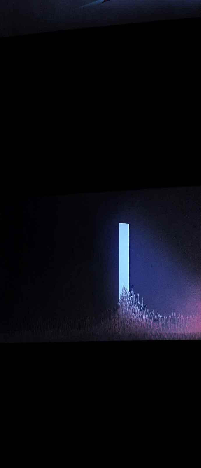 15653112602321.jpeg