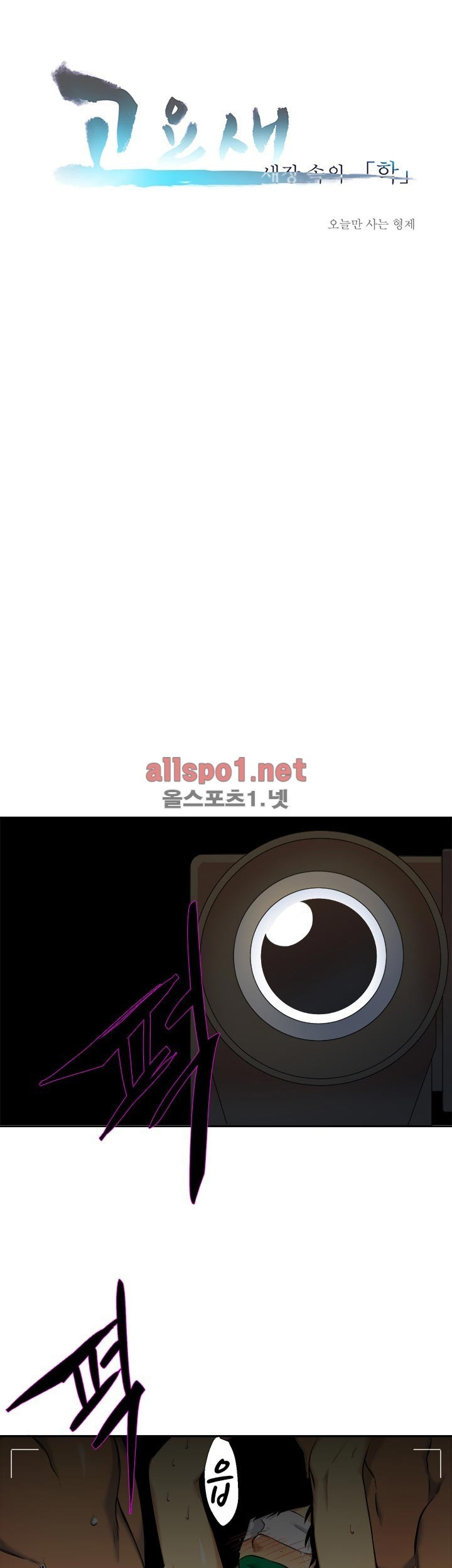 15653134531588.jpg
