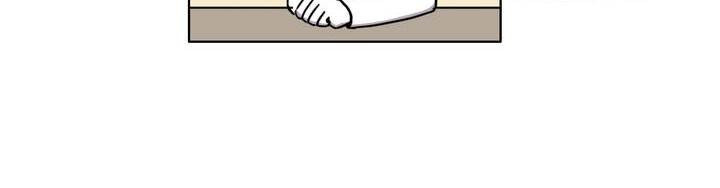 15653134983761.jpg