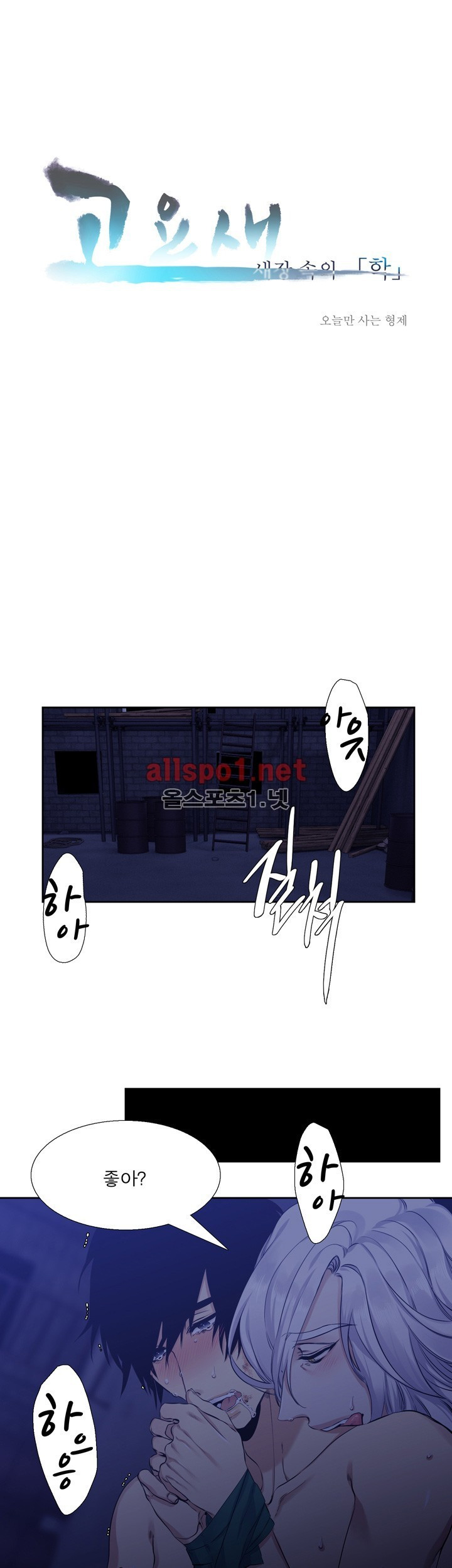 15653136485237.jpg