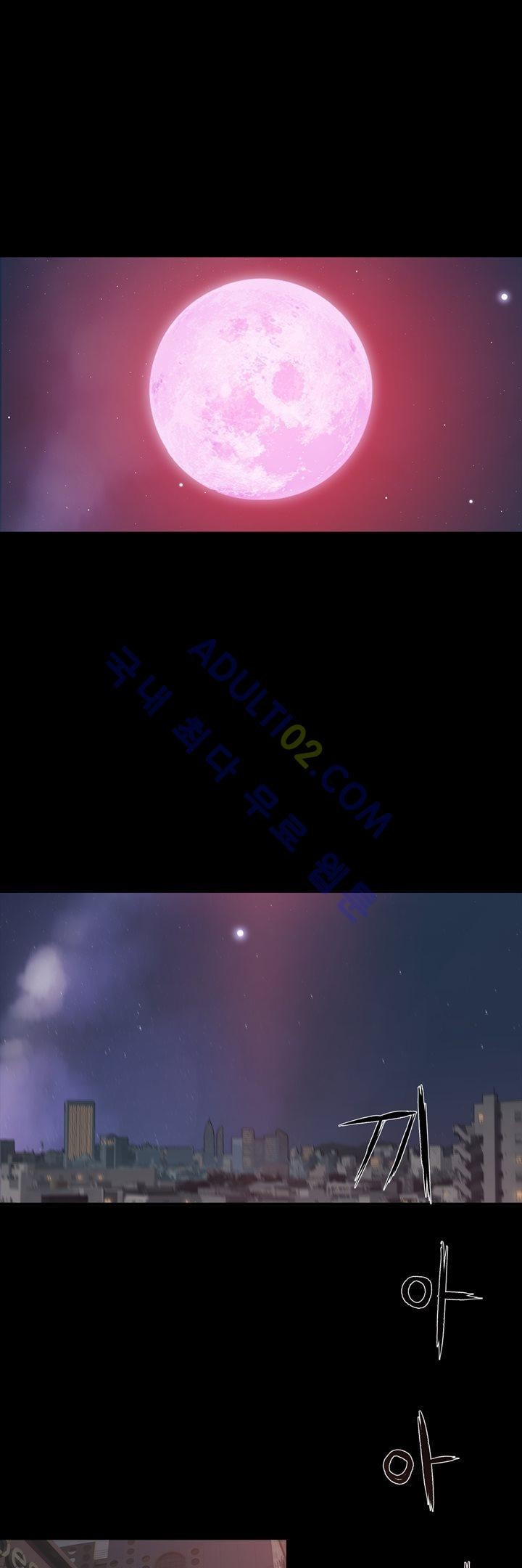 15653137054588.jpg
