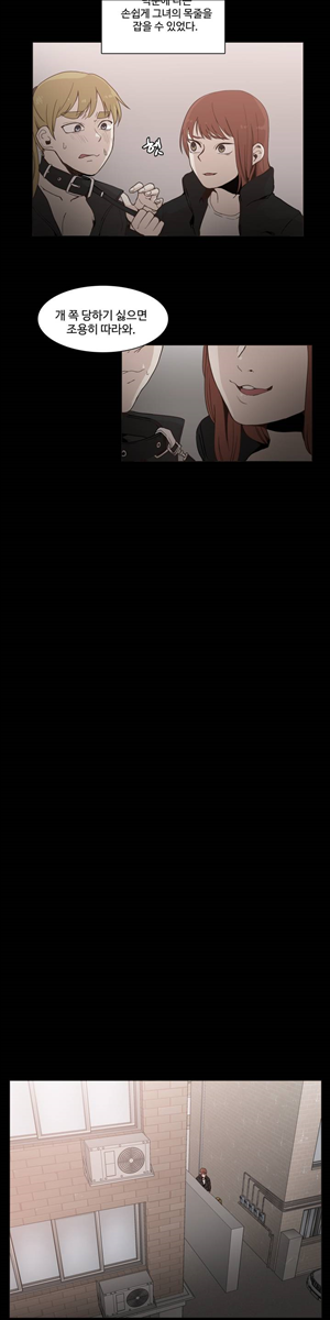 15653143207297.jpg