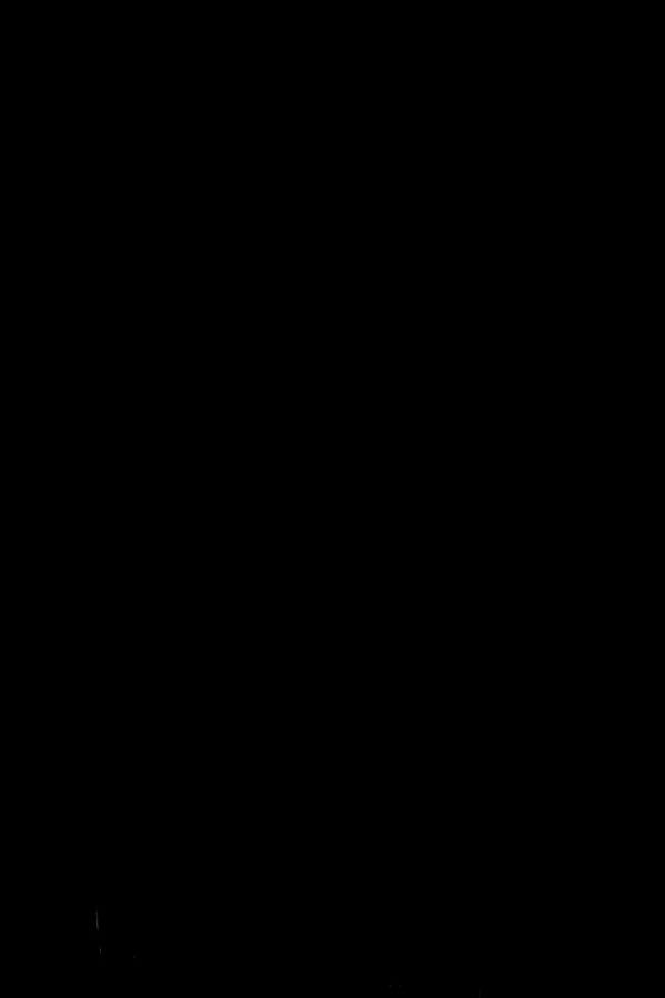 15653186115989.jpg