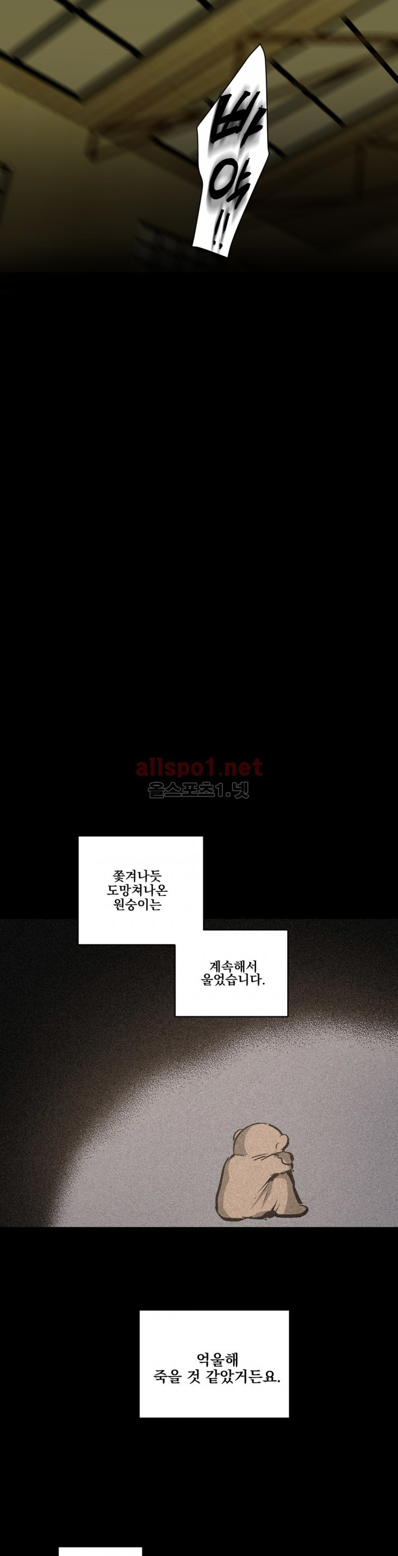 15653223485001.jpg