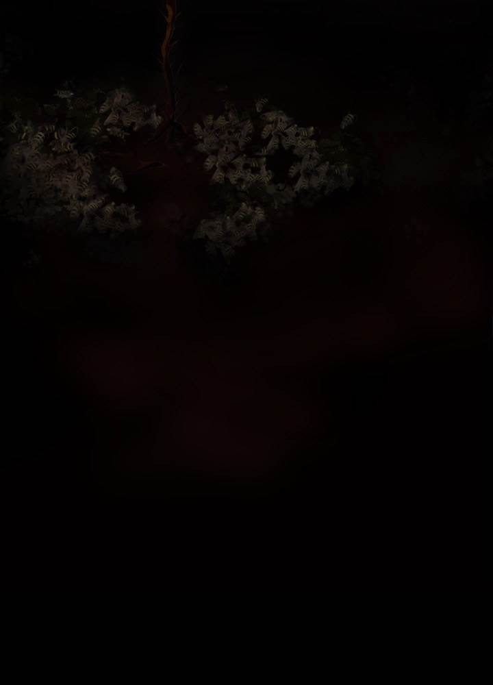 15653223704572.jpg